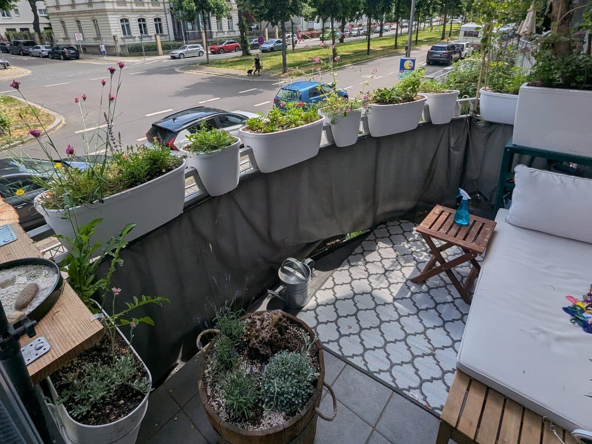 Ein Mietsbalkon in Leipzig, dicht bepflanzt mit Wildpflanzen in Kübeln